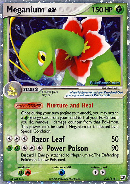 Meganium.jpg